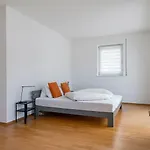 Tatil Evi Schmittenhoehe Zell am See